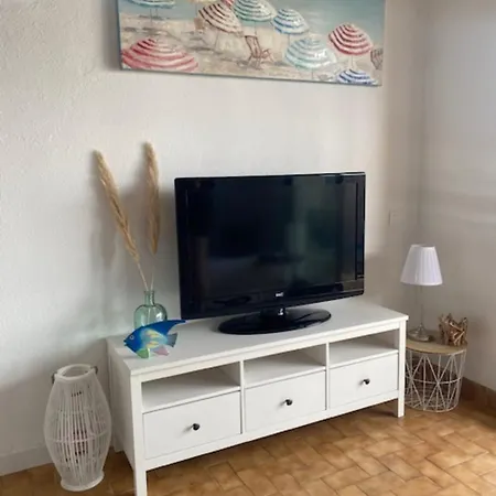 In Front Of The Marina In Apartment Grimaud