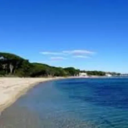 In Front Of The Marina In * Grimaud